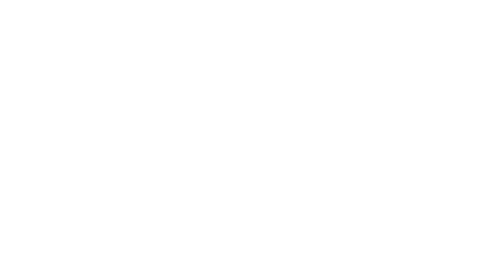 Lisa Skydla